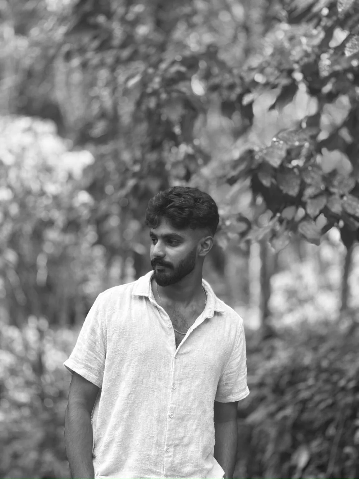 seo analyst vinil viju